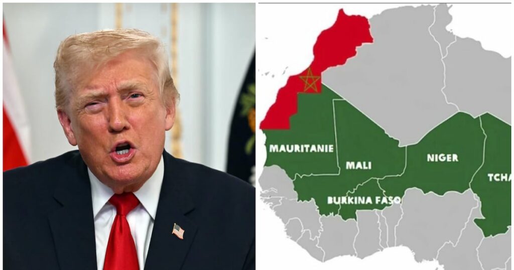 50935e0f-5e09-4787-8f0b-4944d4213588