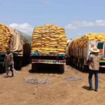 d5645cf7-1592-4704-82cd-2013704b3a8b