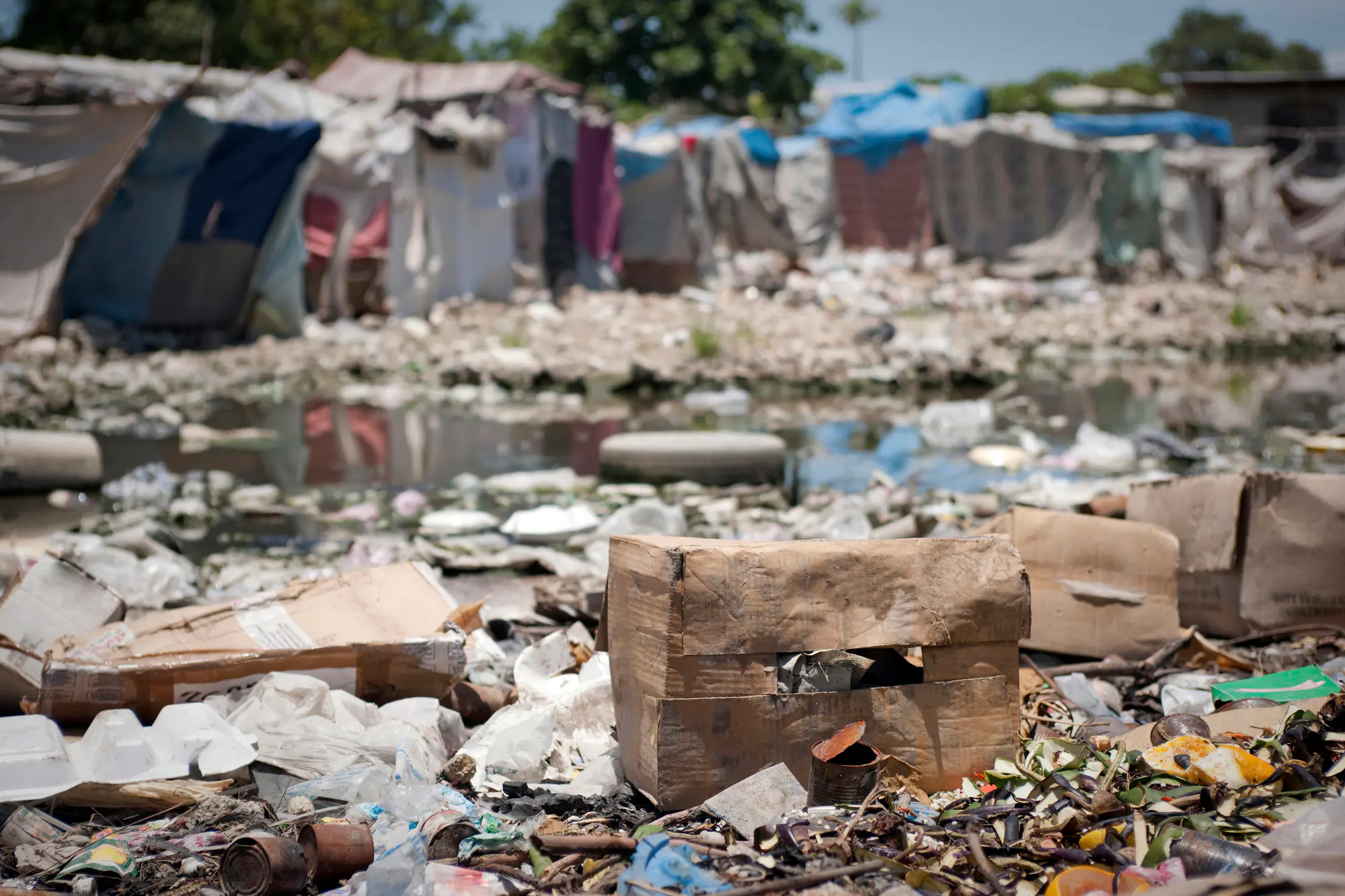 Cholera is a waterborne disease (illustrative image)
