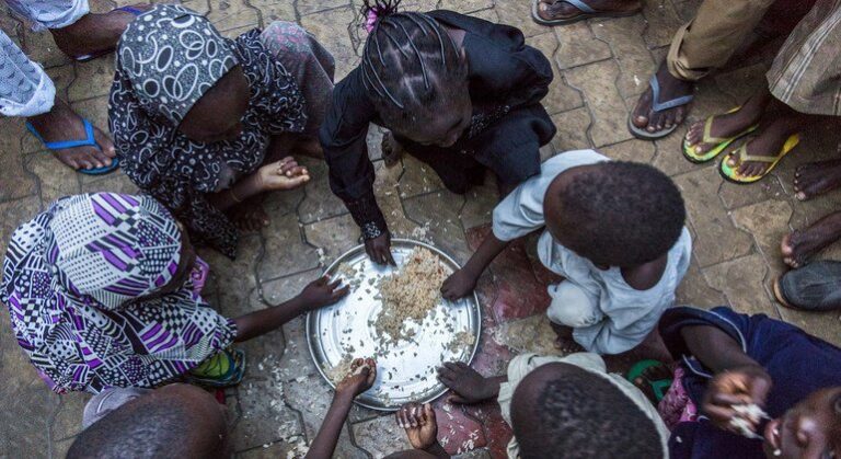 e0661b4a-7771-43e3-9a6d-1fe291d691fe