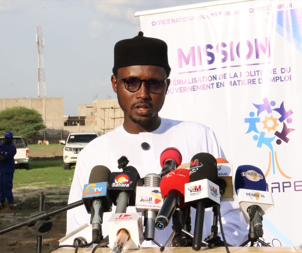 Chad - ONAPE: 200 youths integrated into green jobs in N'Djamena
