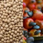 4a8c08ea-a35a-44c4-9d05-01adfc78574a