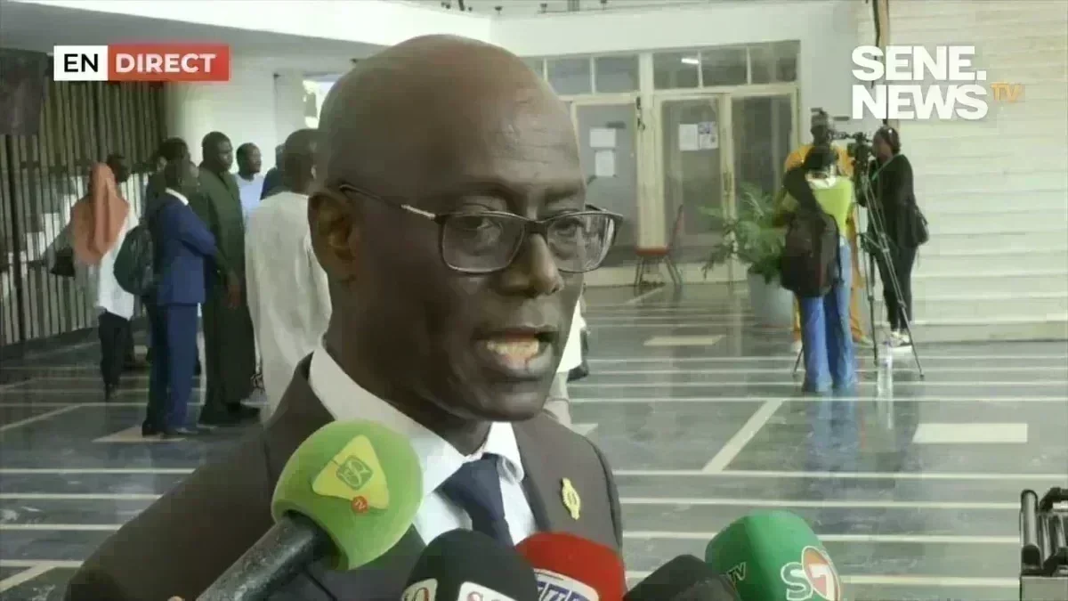 Thierno Alassane Sall addresses the assembly Thierno Alassane Sall speaks during an extraordinary session about Ousmane Sonko